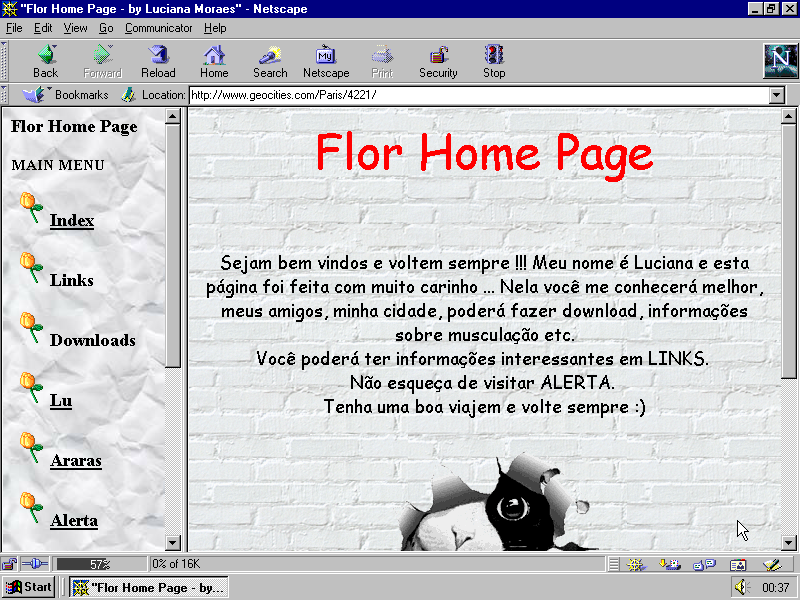 Example Geocities Page